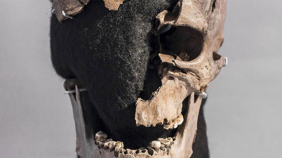Ancient man migrated to Denmark before being clubbed to death, new research finds