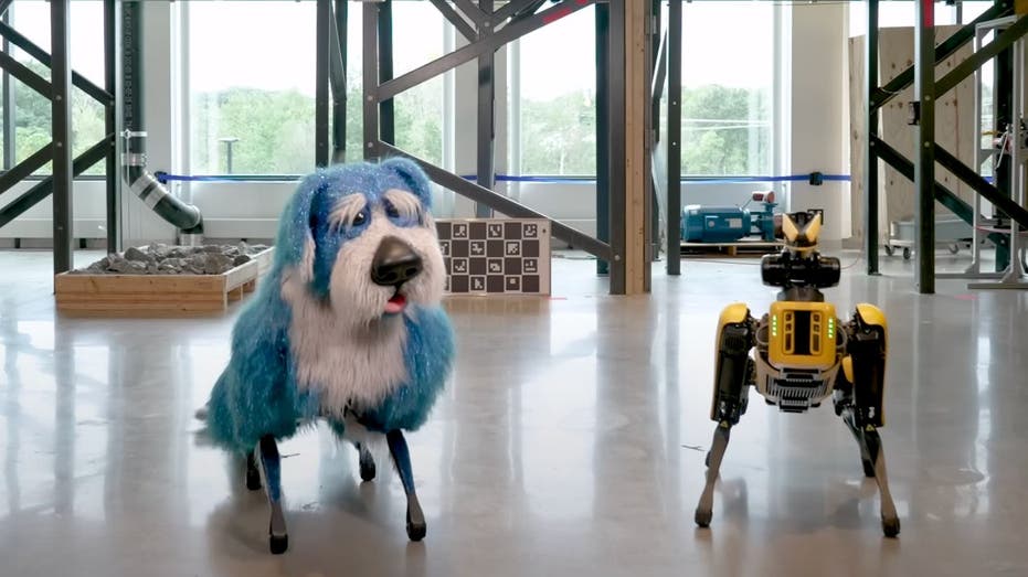 Boston Dynamics’ creepy robotic canine dances in sparkly blue costume