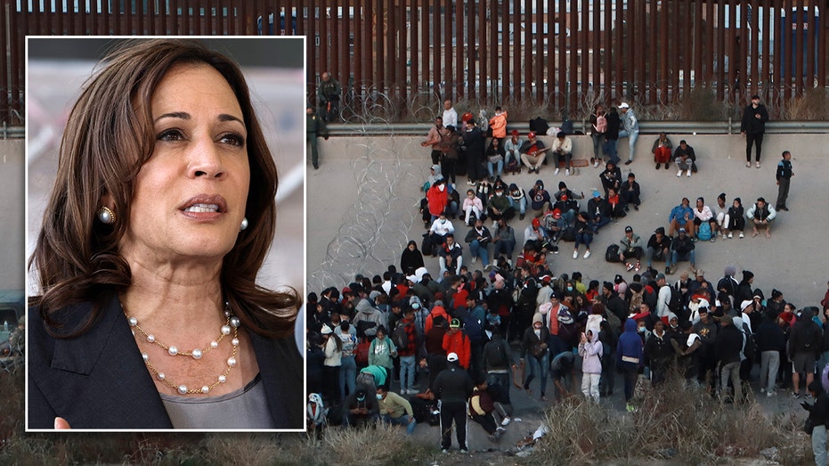 How would a President Harris handle immigration, border crisis?